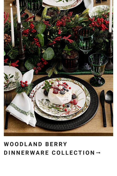 Christmas | Williams Sonoma Australia